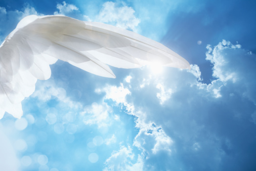 文章- 乐观者和悲观者的成功密码